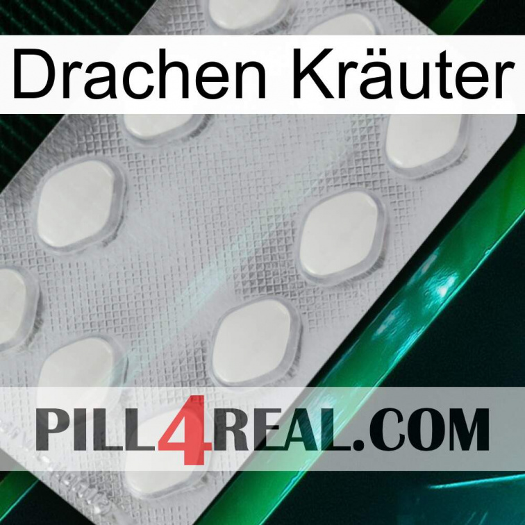 Drachen Kräuter 16